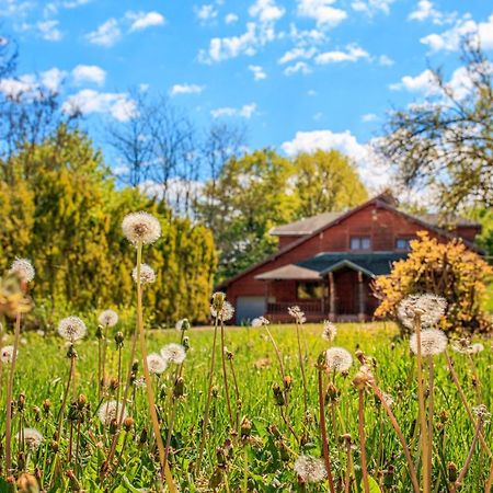 Amigosranch Villa Krusevac Exterior photo